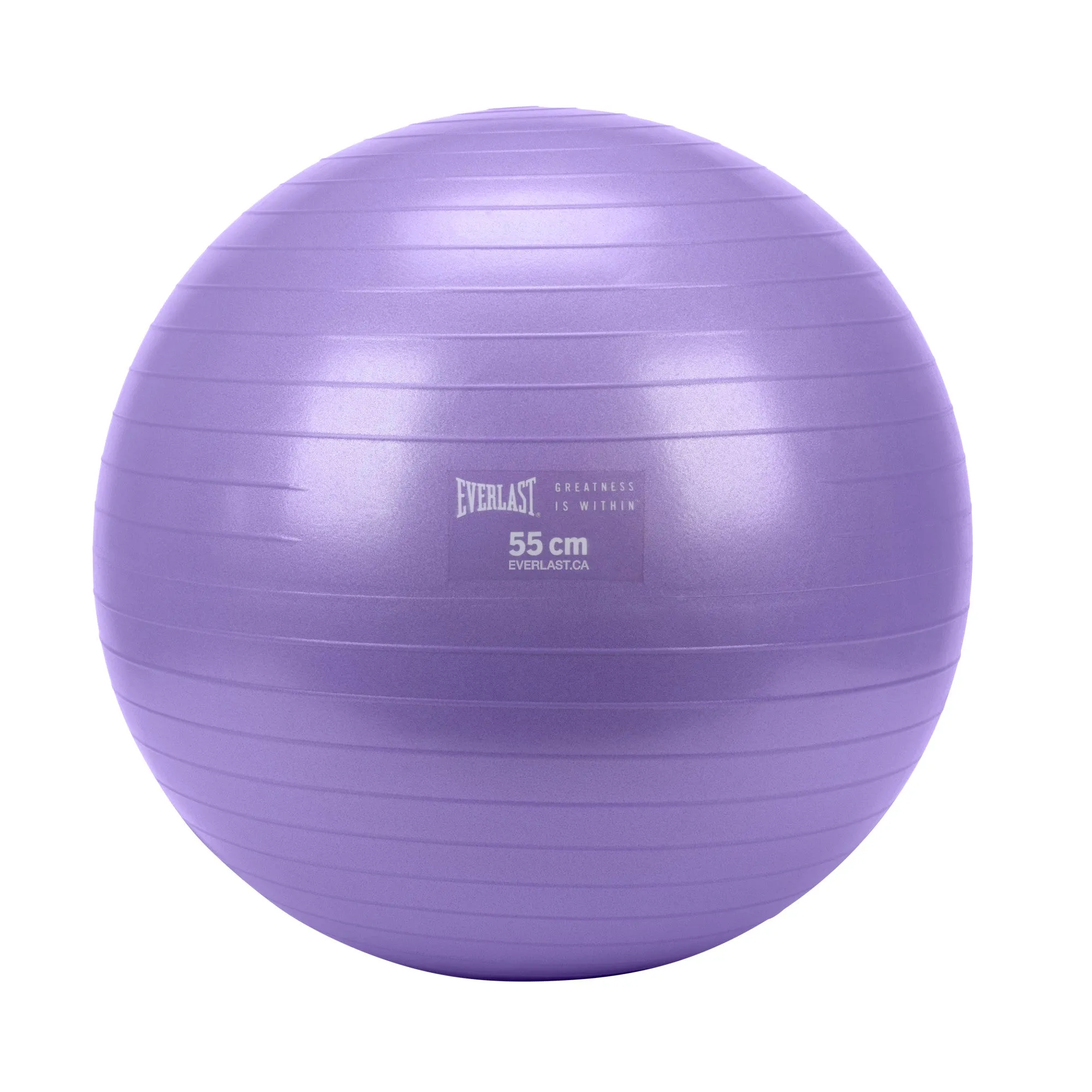 55cm Anti-Burst Stability Ball W/3LB Sand Weight