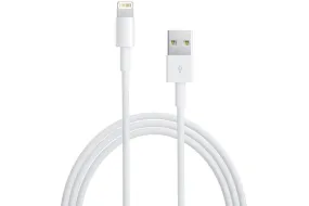 Apple Lightning to USB Cable | 2m