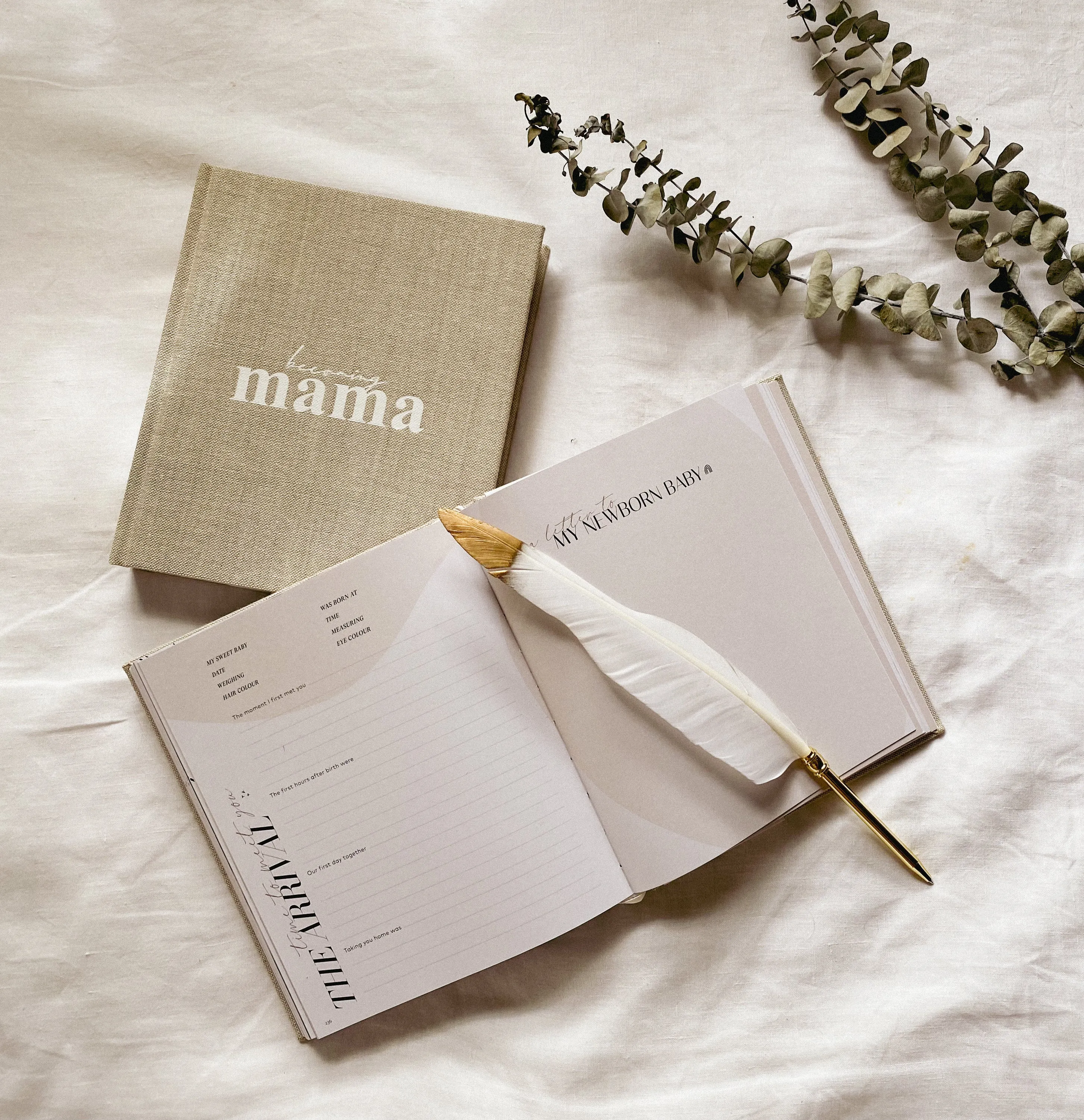 Becoming Mama Pregnancy Journal