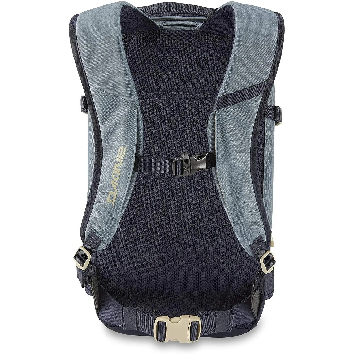 Dakine Heli Pro 20L Backpack