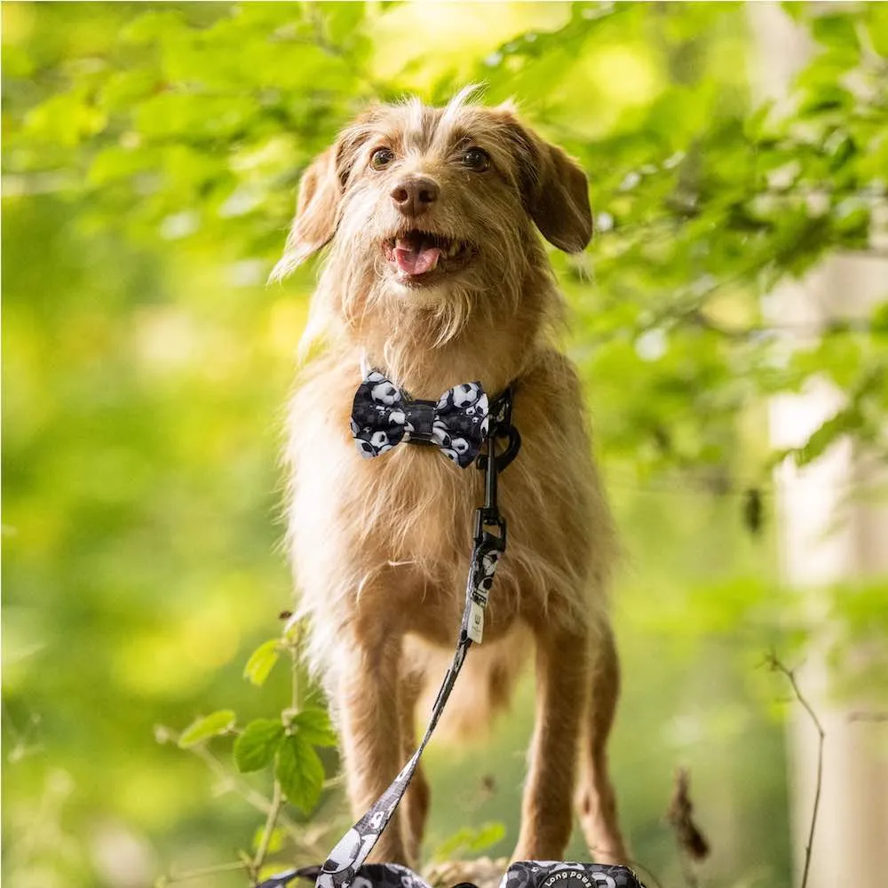 Funk The Dog Bow Tie | B&W Footballs