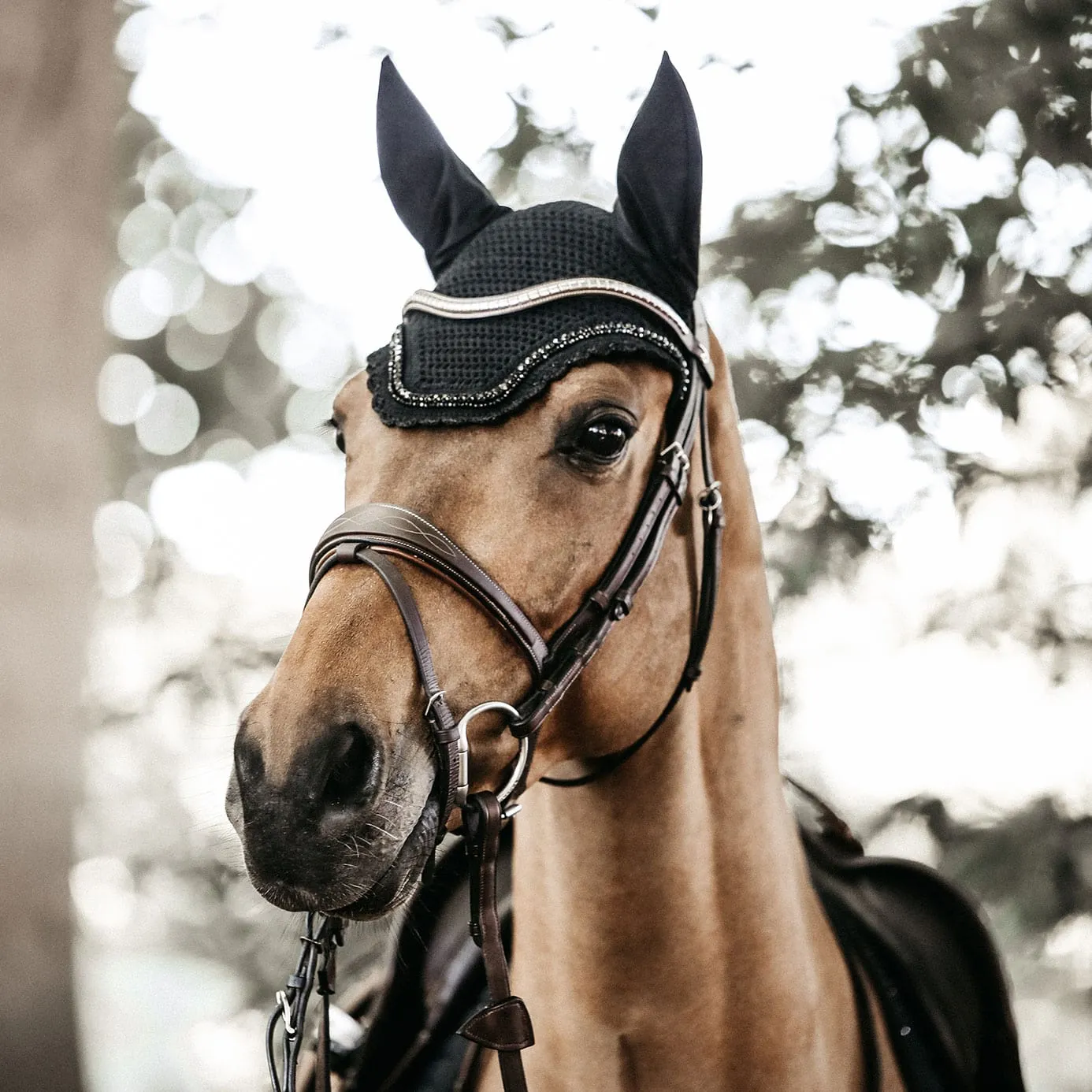 Kentucky Horsewear Wellington Stone and Pearl Fly Veil - Black