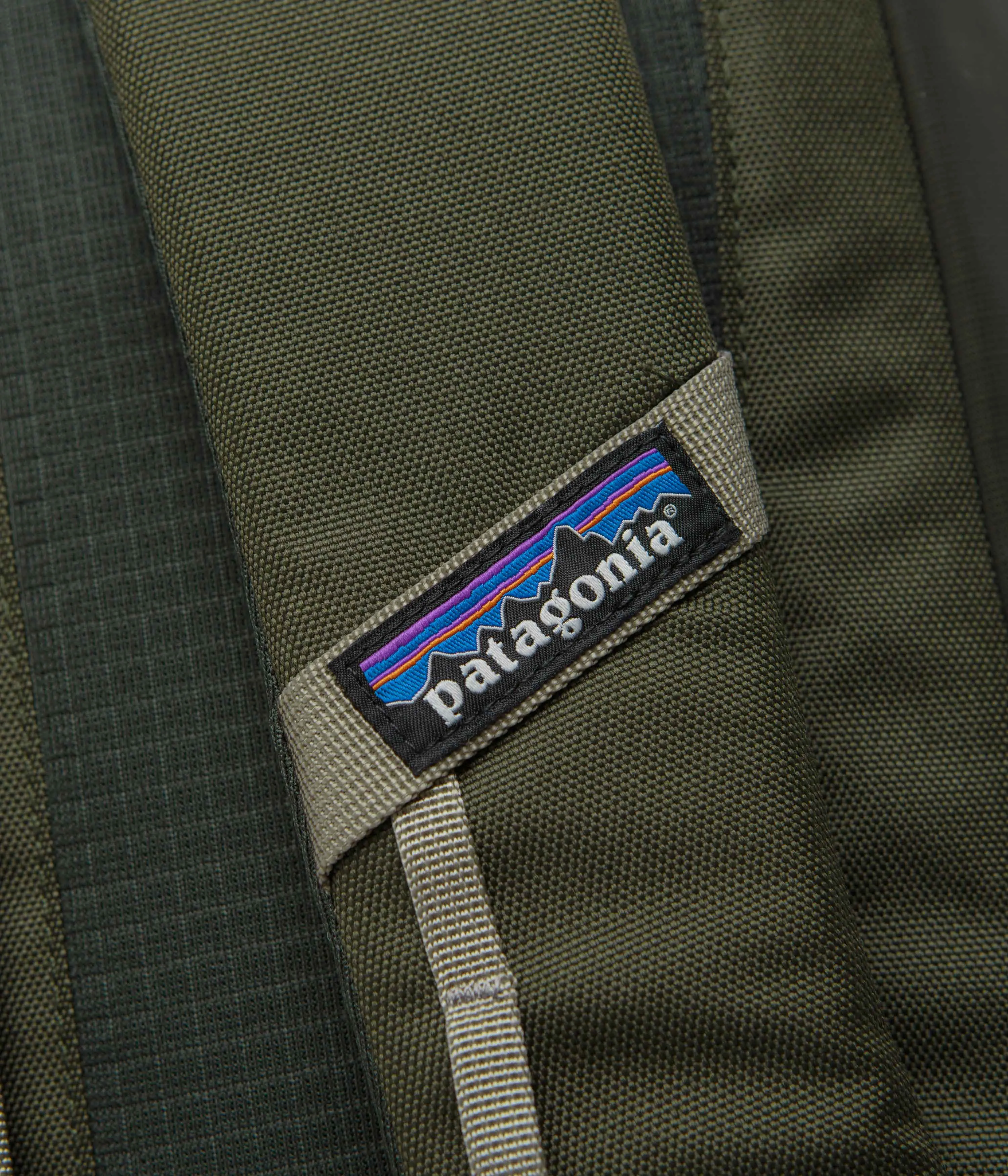 Patagonia Black Hole Backpack 25L - Pine Needle Green