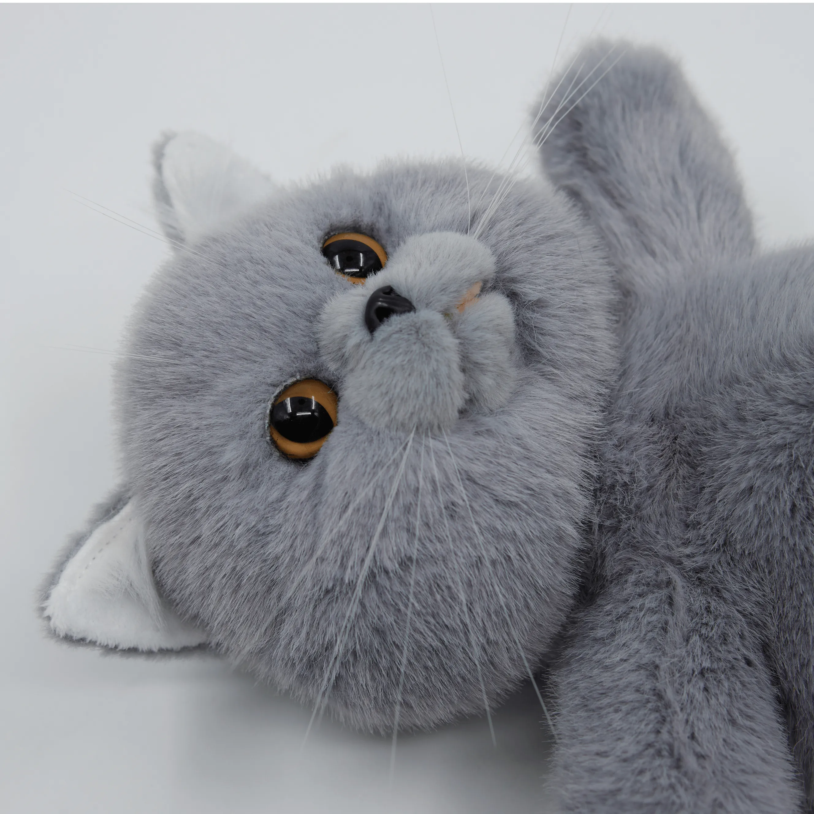 Russian Blue Cat Backpack