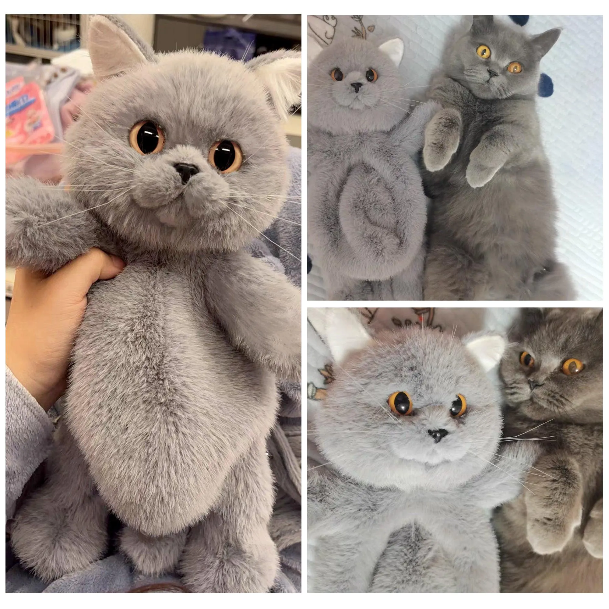 Russian Blue Cat Backpack