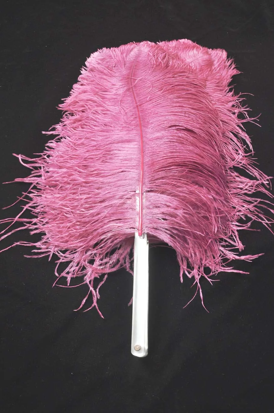 Single layer Fuchsia Beginner’s Ostrich Feather Fan 25"x 45"