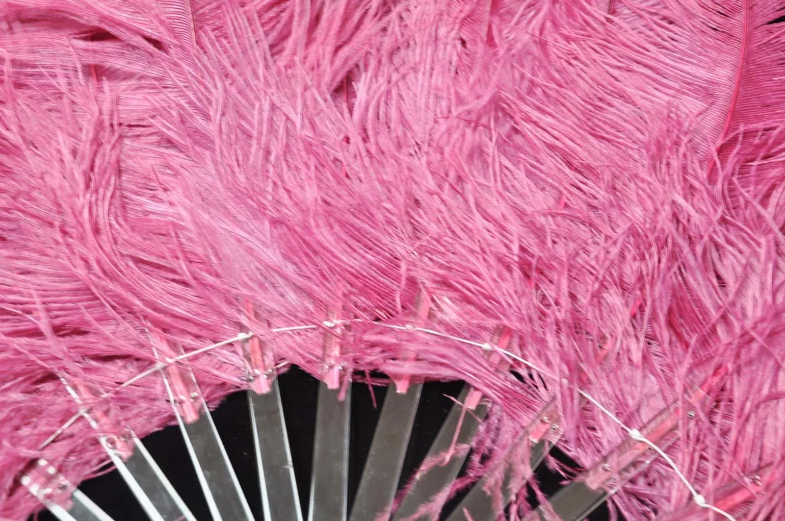 Single layer Fuchsia Beginner’s Ostrich Feather Fan 25"x 45"