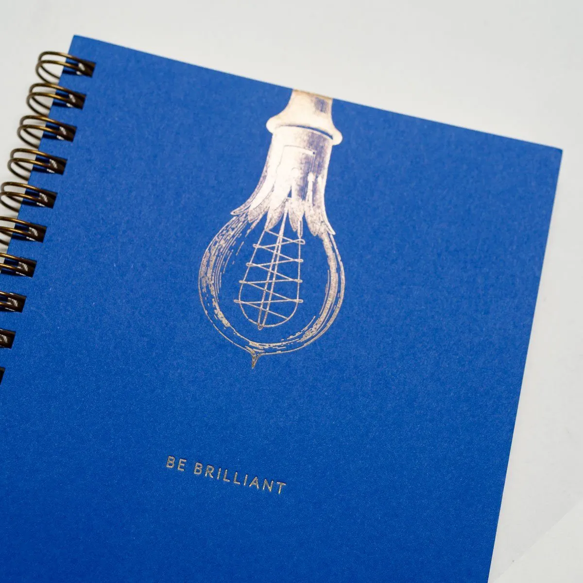 The Gift Of Brilliance! Be Brilliant Notebook and Journal