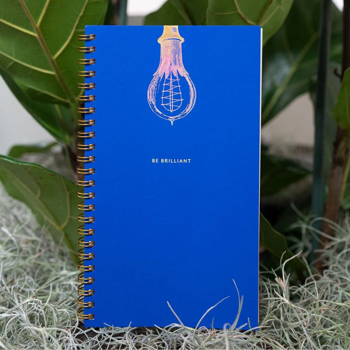 The Gift Of Brilliance! Be Brilliant Notebook and Journal