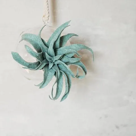 Trio of Air Plants, Advanced PDF Pattern