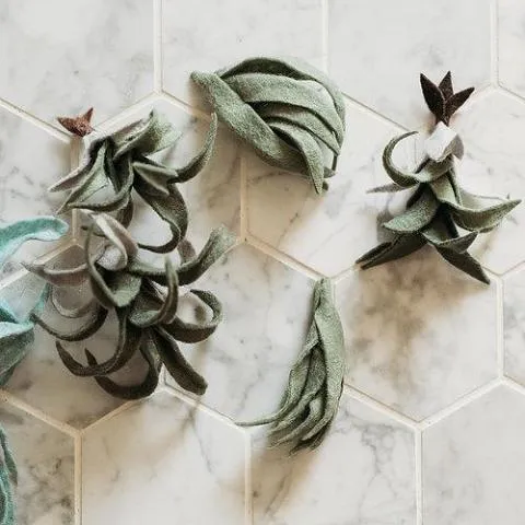 Trio of Air Plants, Advanced PDF Pattern